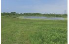 Pond on a farm in Lake County, Indiana - LAND AUCTION - 147+/- ACRES OFFERED IN 3 TRACTS IN LAKE COUNTY, INDIANA